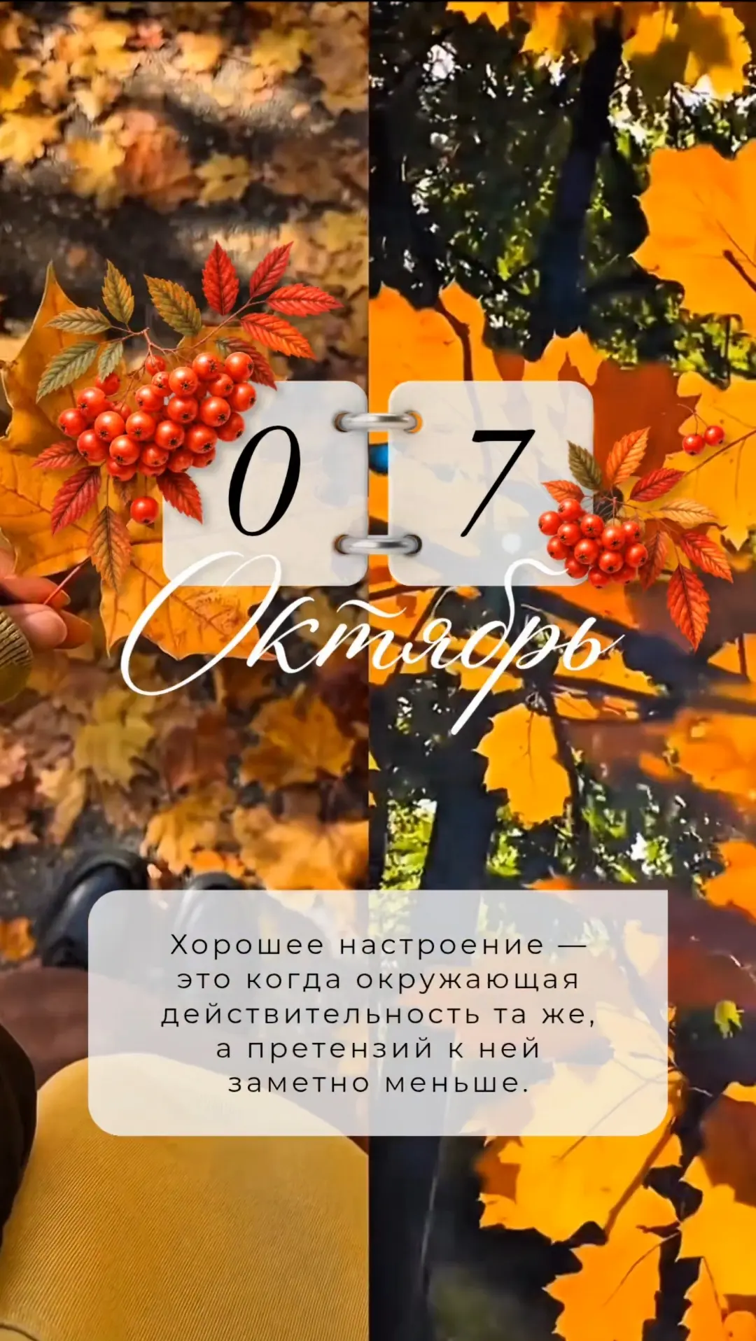 Хорошее настроение — это когда окружающая действительность та же, а претензий к ней зам...