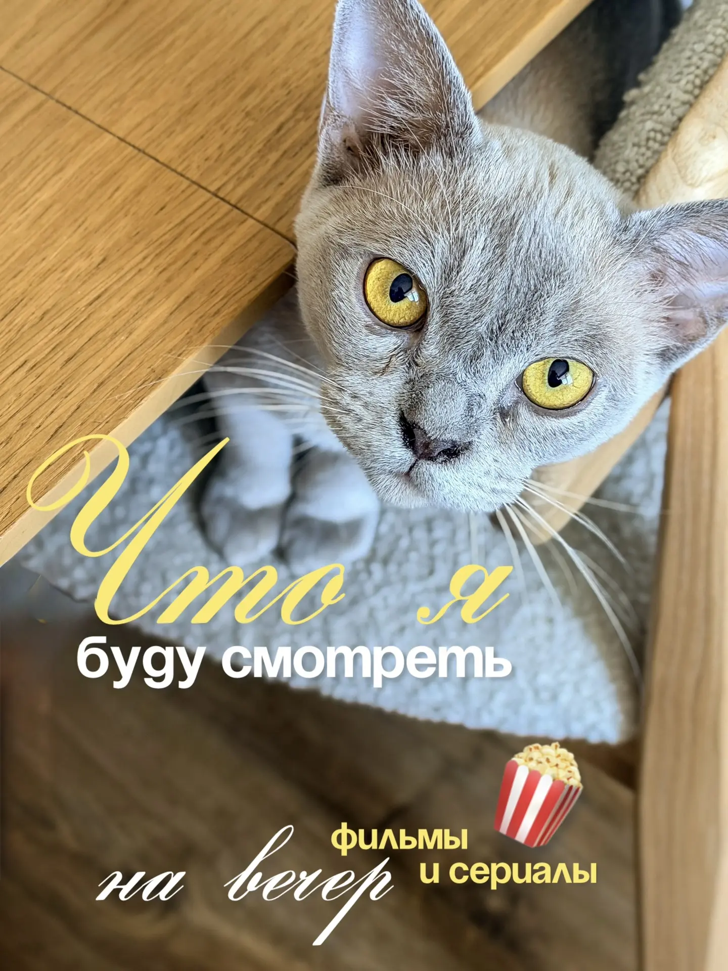 #inmyhome_чтопосмотреть

Кино-подборка фильмов и коротких сериалов на вечерок🍿

Что из этого смотре