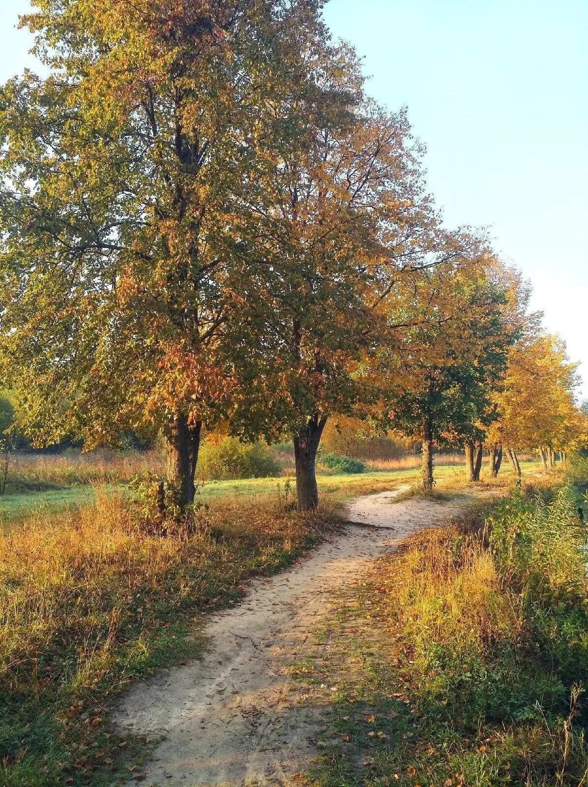Домодедово 🍁😍