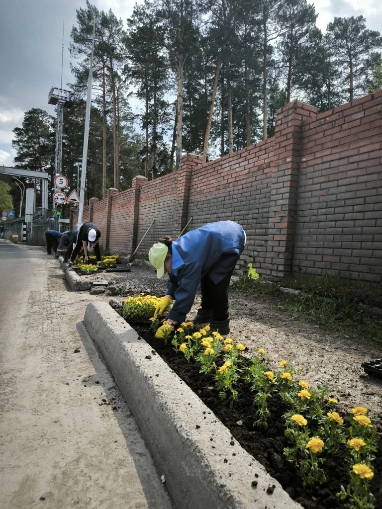 Работники нашего предприятия украшают город цветами.