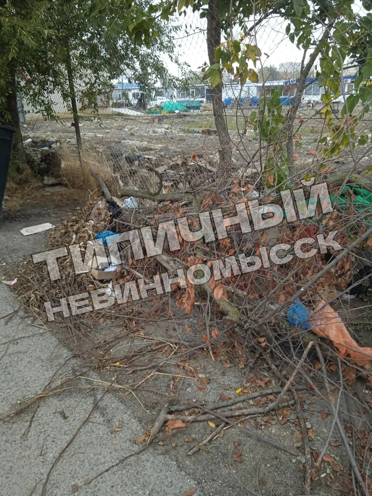 Доброго времени суток, уважаемые Невинномыссцы! В очередной раз хочу поднять тему мусор...