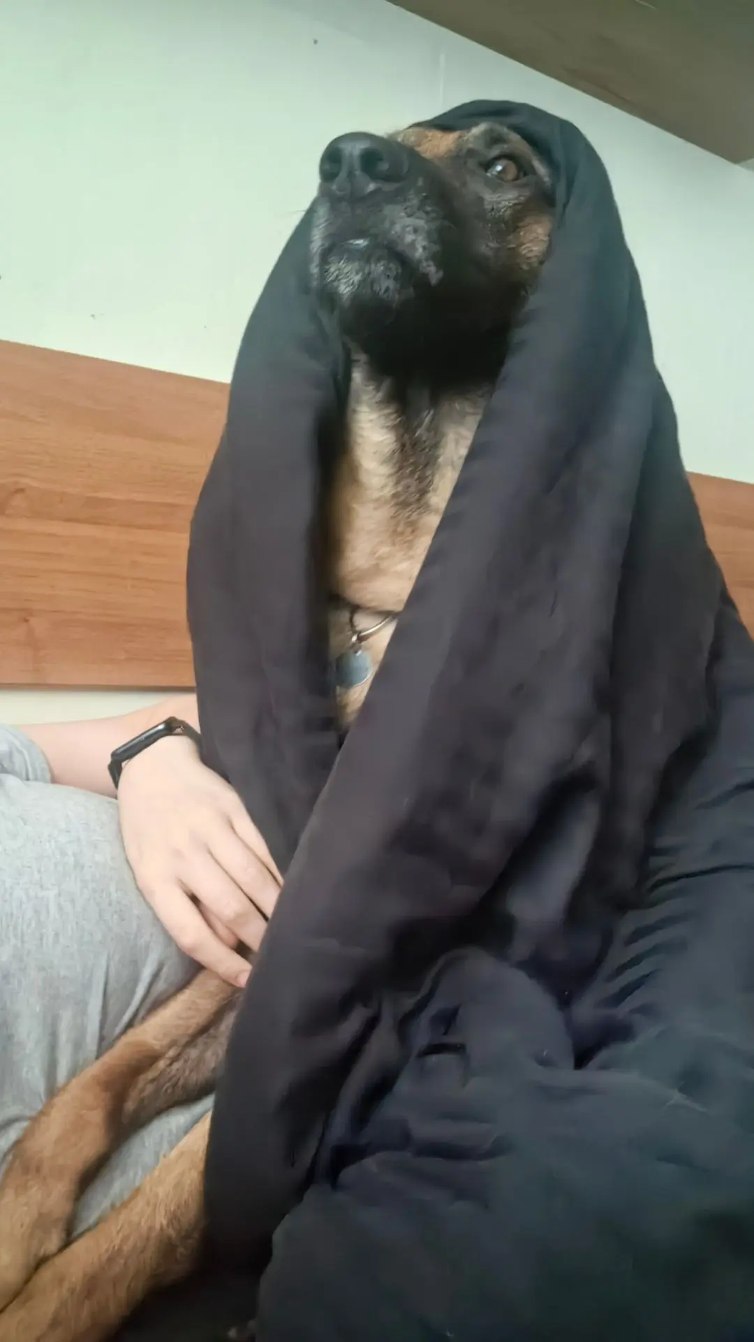 Когда в душе ты котик 🐱😄