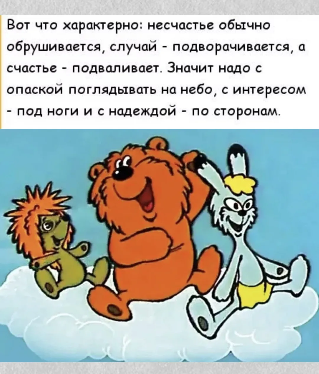 Всем хорошего дня❗️ немного юмора для настроения