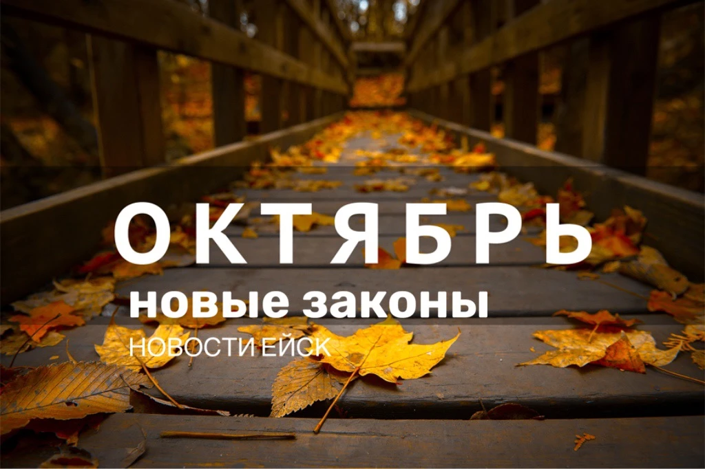 🗓️Что изменилось в России с 1 октября