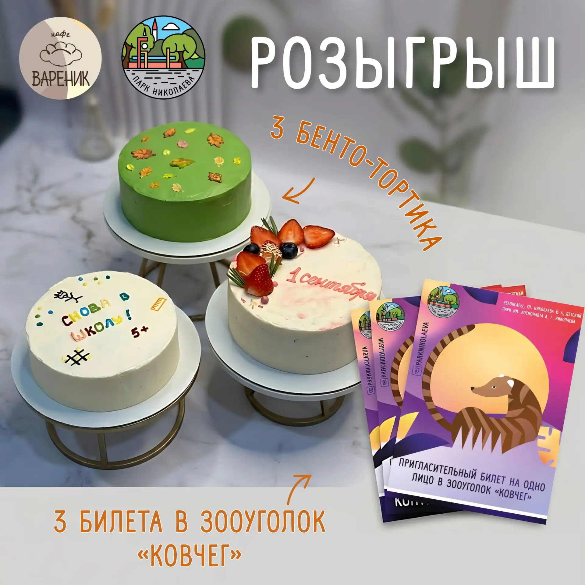 Парк Николаева и кафе «Вареник»: лучшие поздравления получат бенто-торты 🎂 и билеты 🎟