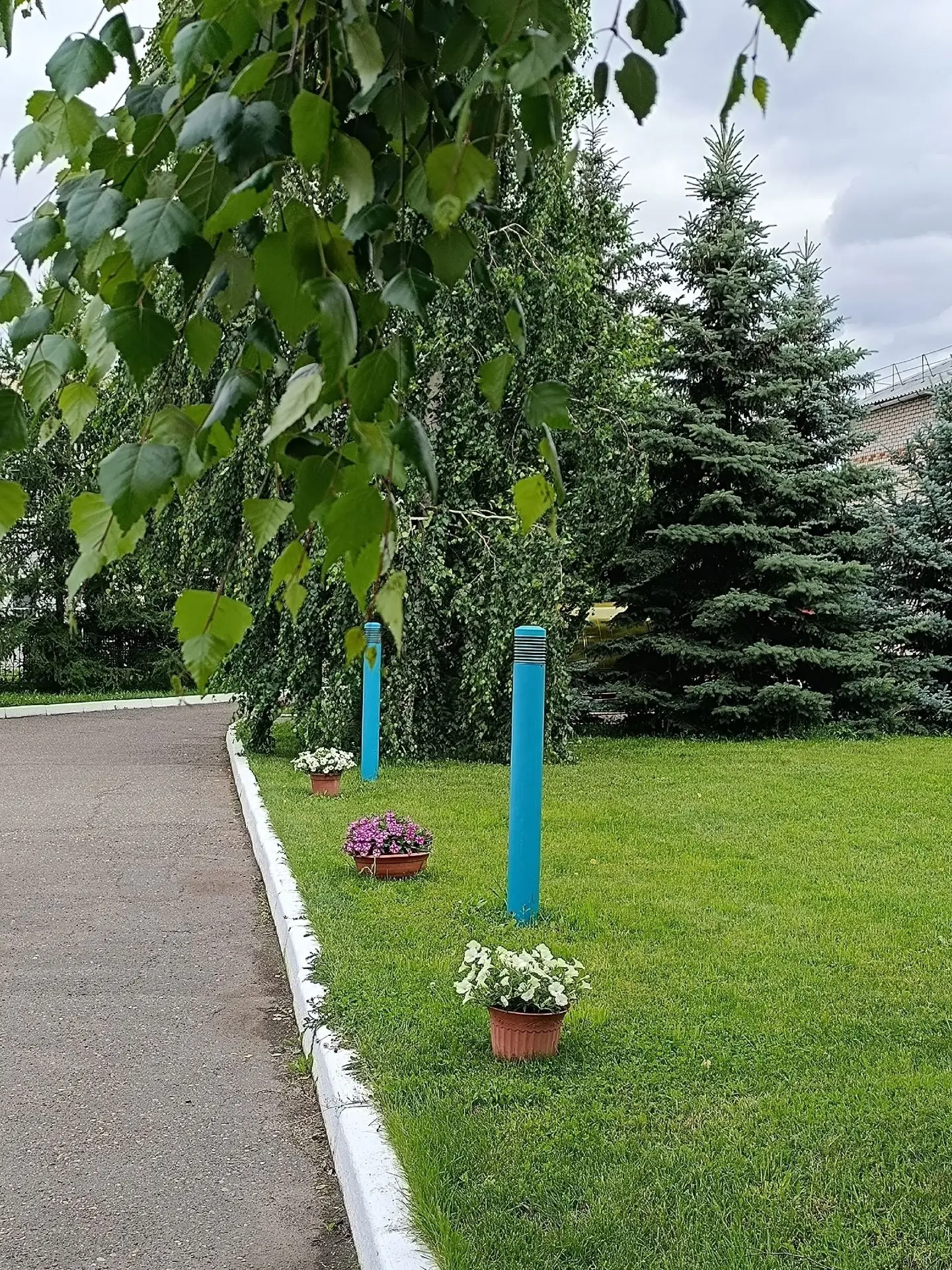 Территория нашей больницы полностью преобразилась с приходом весеннего тепла. Вокруг ко...