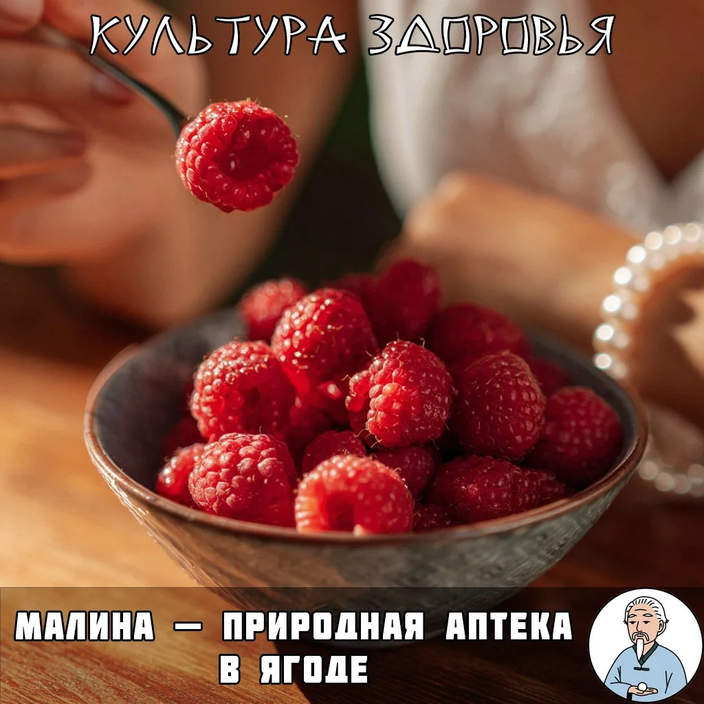 Главная ягода от всех недугов