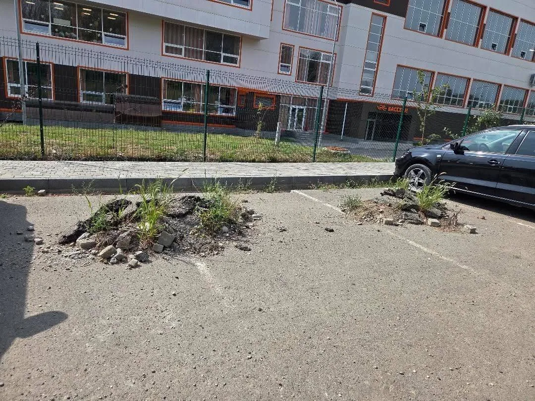 🌿 Жители Ессентуков просят решить вопрос с амброзией и дорогой у школы №11