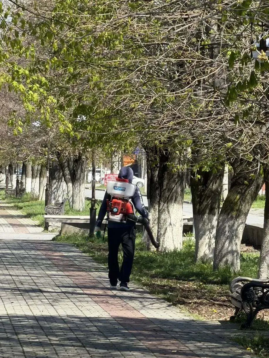 В Ардоне проведена акарицидная обработка общественных территорий В целях профилактики инфекционных з