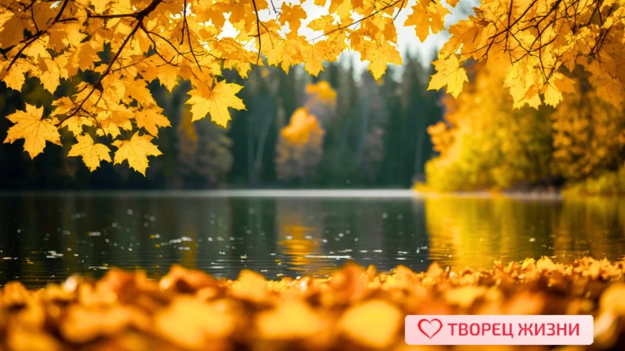 🌟 Когда мы перестаем бороться с собственным телом, и начинаем прислушиваться к нему, у...