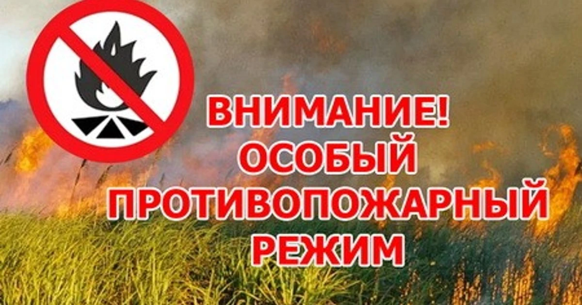 ‼️ С 18 мая в Иркутской области введен особый противопожарный режим. Постановлением Пра...