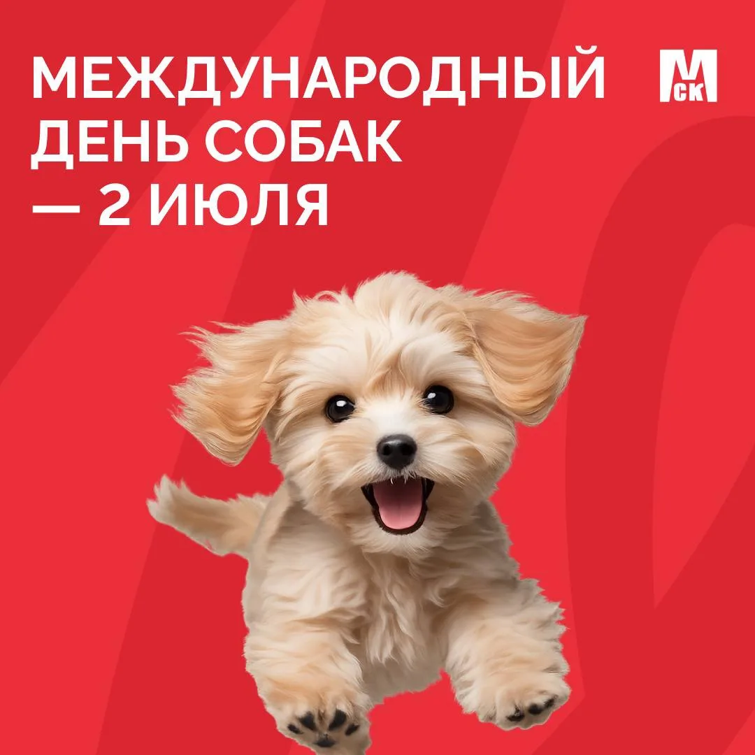 🥳 Сегодня отмечается Международный день собак!