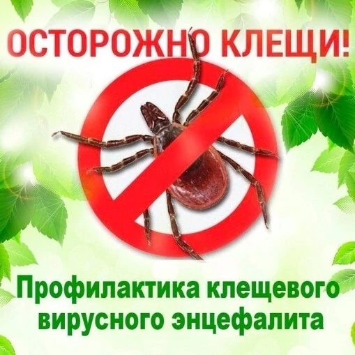 Всероссийская горячая линия по профилактике клещевого
