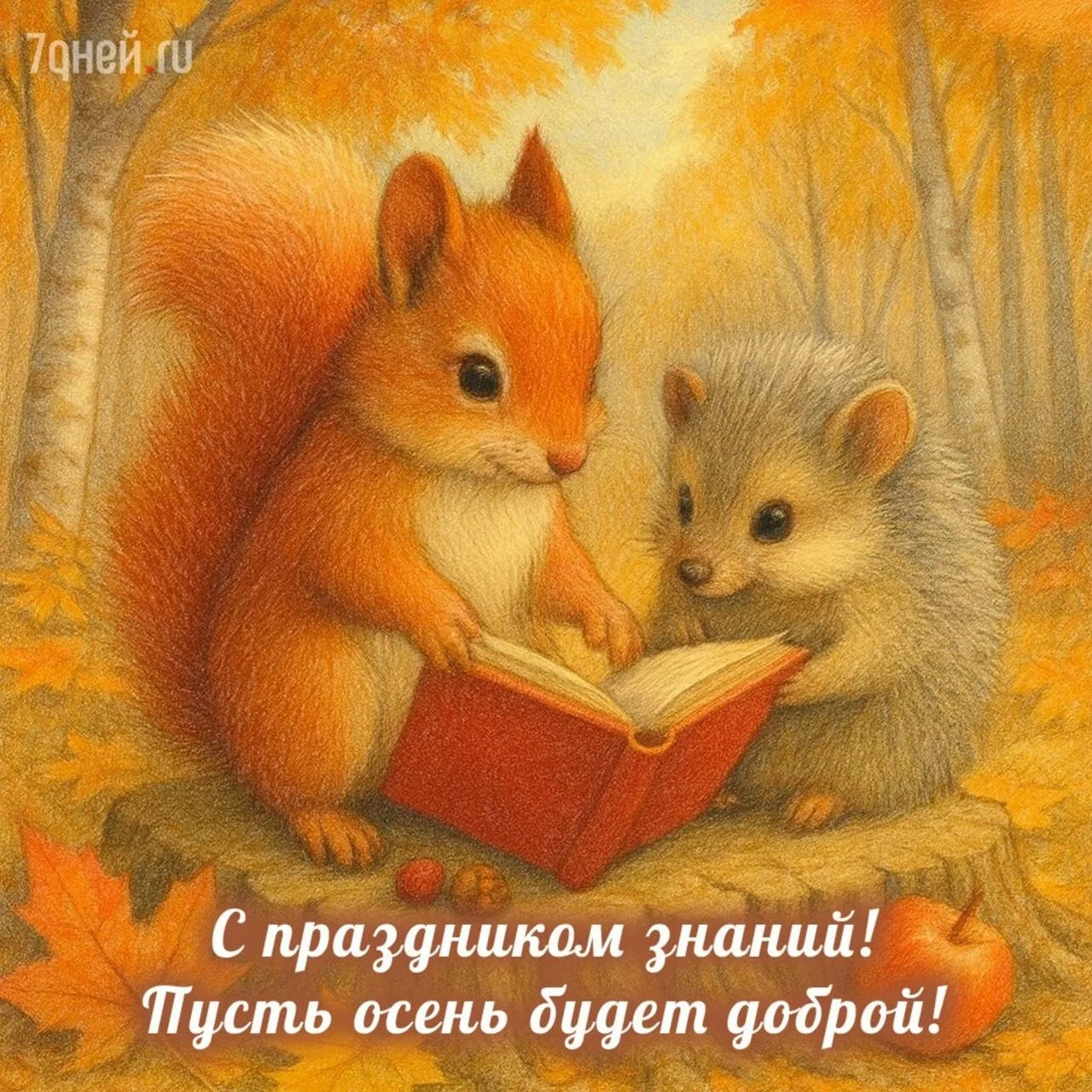 Уважаемые родители и коллеги!