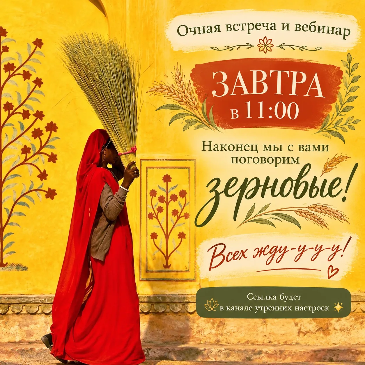 🌾 Наконец-то — долгожданный разбор ЗЕРНОВЫХ!