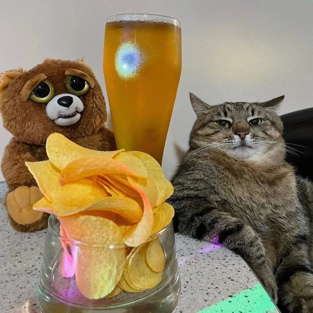 🍻Международный день пива отмечается сегодня.
