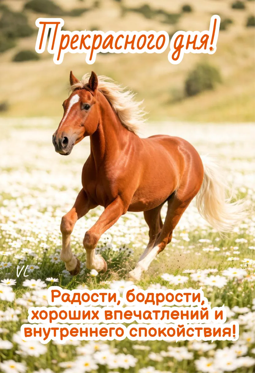 Прекрасного дня!

Лови💙хорошее настроение