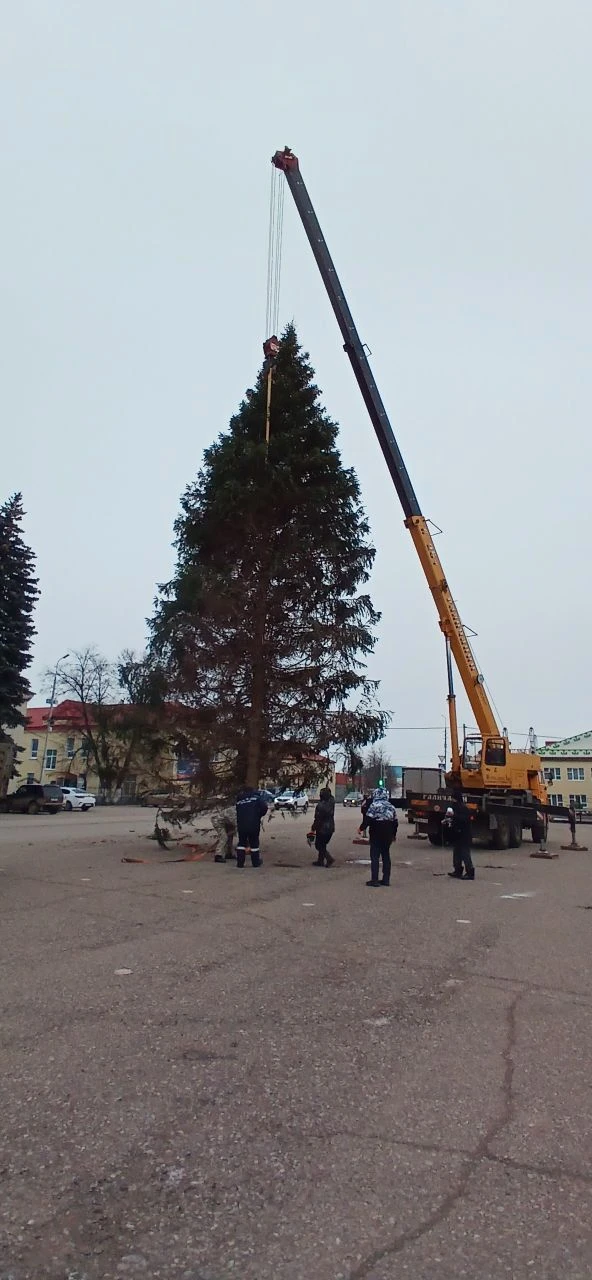 Главная ёлка села заняла свое место на Центральной площади. В ближайшие дни специалисты  приступят к