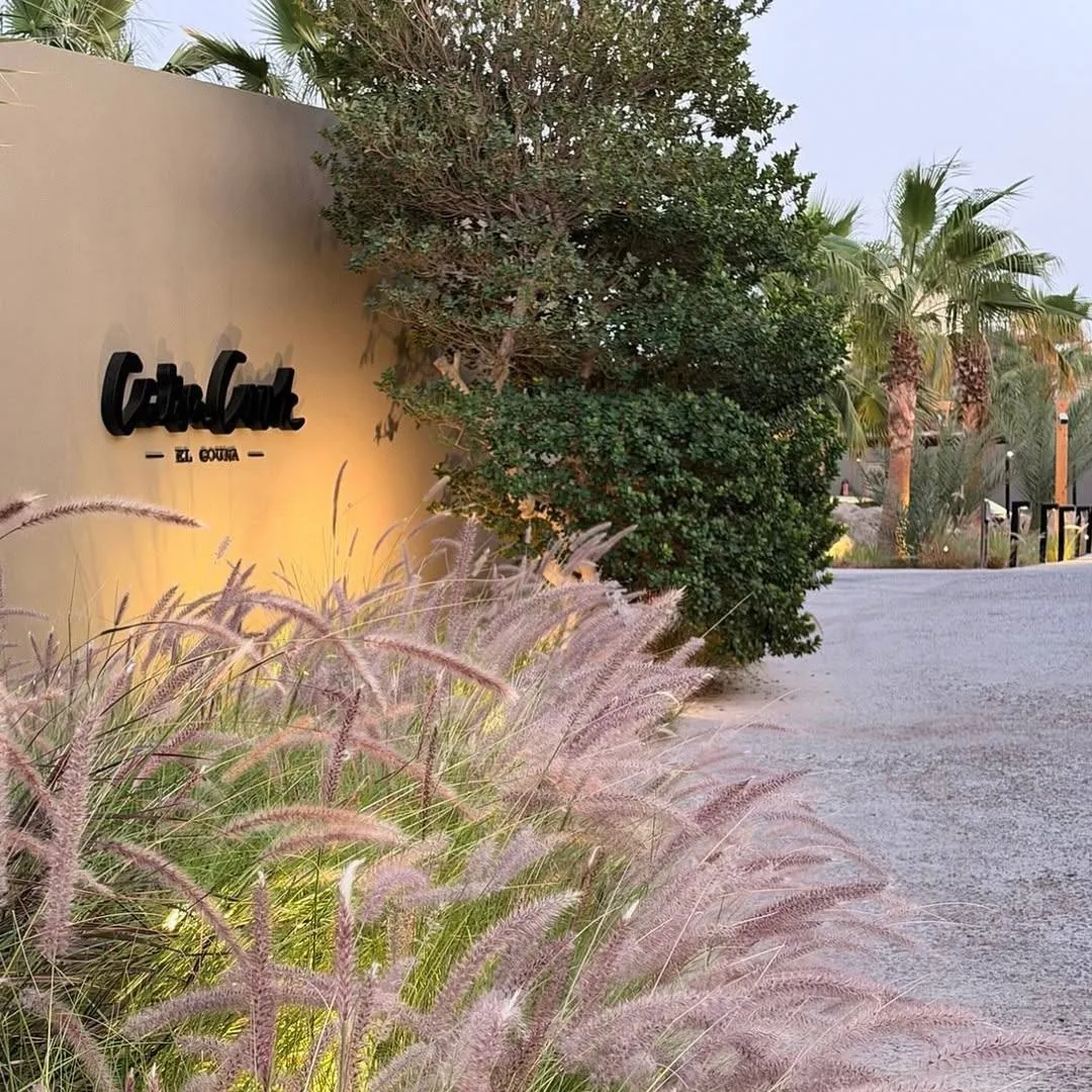 CASA COOK EL GOUNA 5 - эстетика, которая действительно лечит голову 😍*