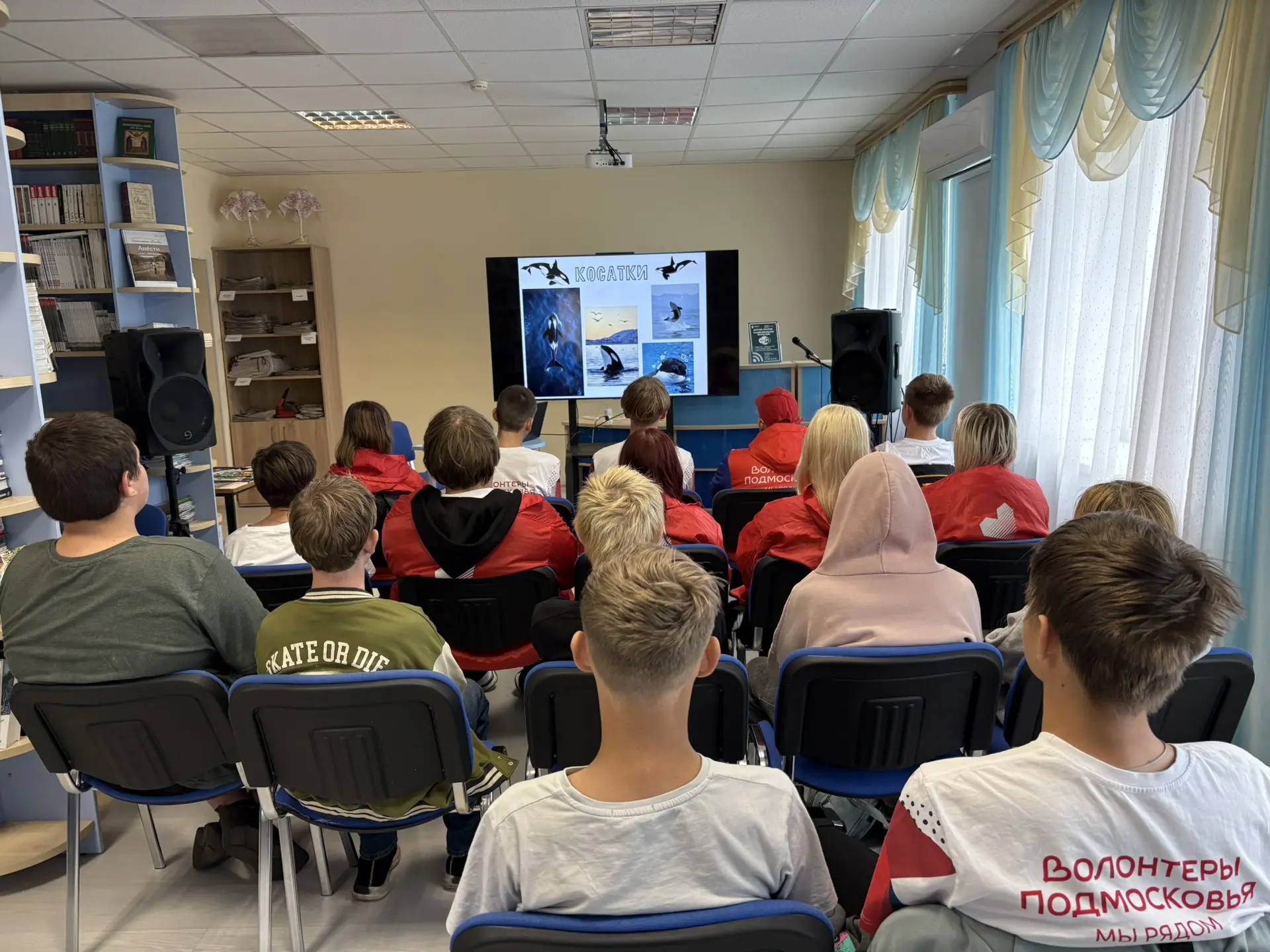 🌊 «Встреча с великанами: погружение в мир китов»🐋