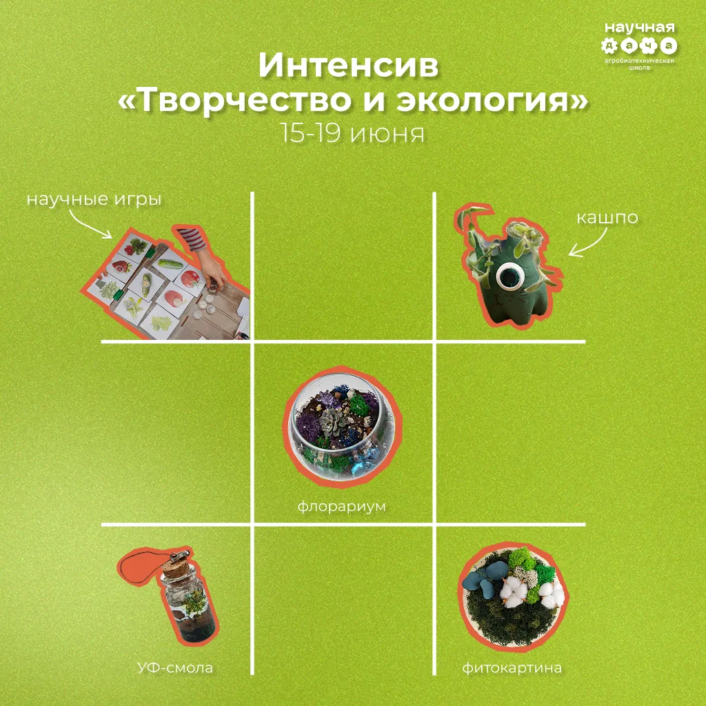Лето с пользой и без гаджетов! 

Уже через 4 дня стартует новая неделя нашего научного интенсива «Тв