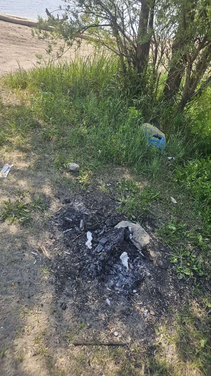 Наши подписчики негодуют - новосибирцы засрали Заельцовский пляж 🤬