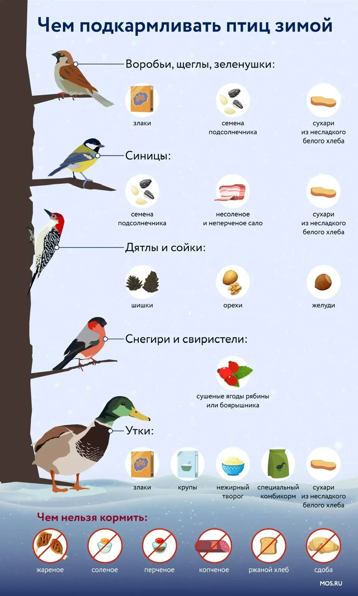 🕊️Ежегодно в нашей стране отмечается добрый экологический праздник - День зимующих птиц! Зимой птицы
