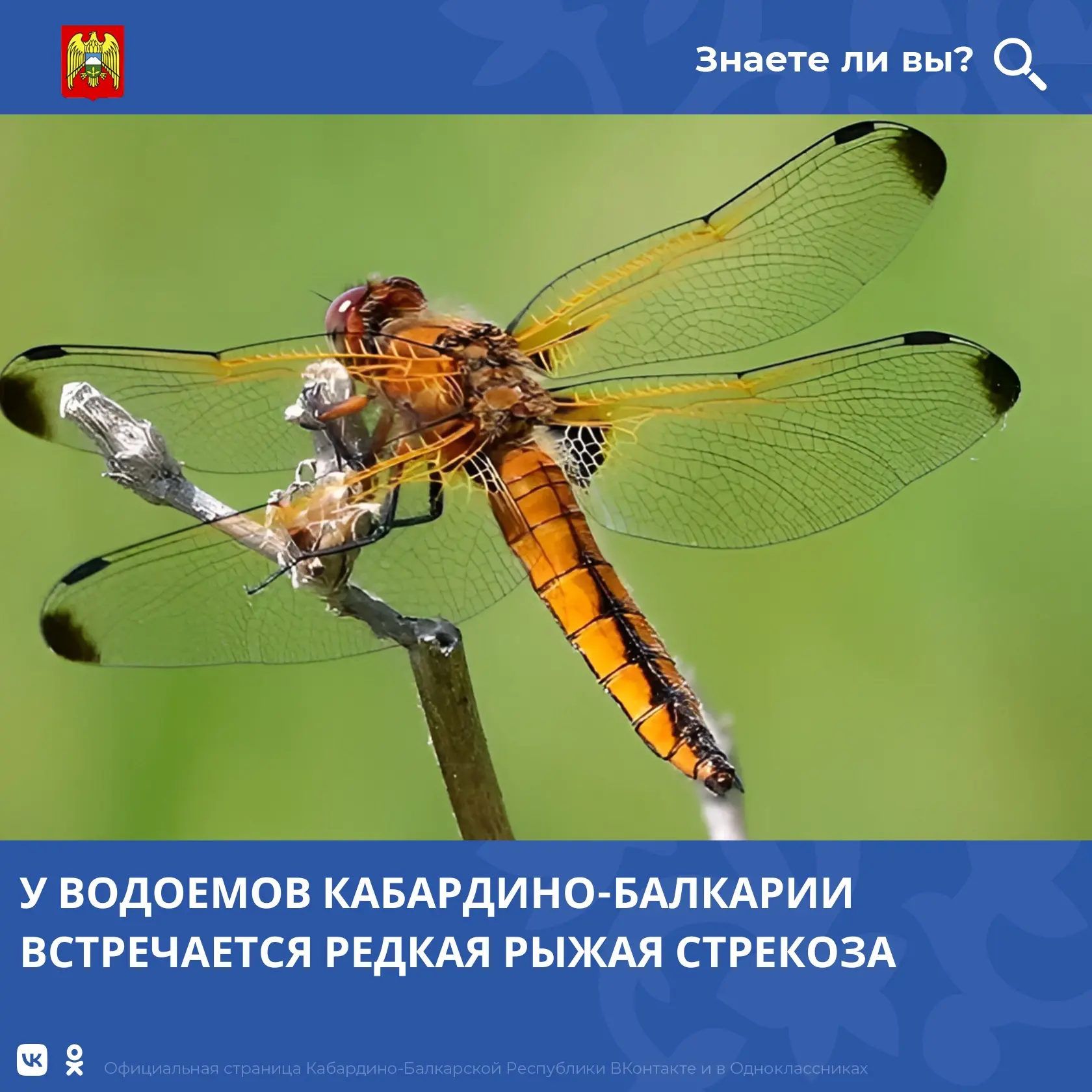 Кабардино-Балкария сохраняет уникальное природное разнообразие — в том числе редкие вид...