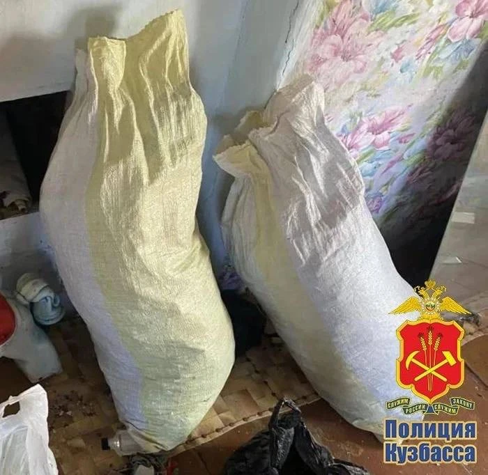 🌿 В Топках у мужчины нашли 8 килограмм марихуаны — теперь ему грозит до 10 лет колонии