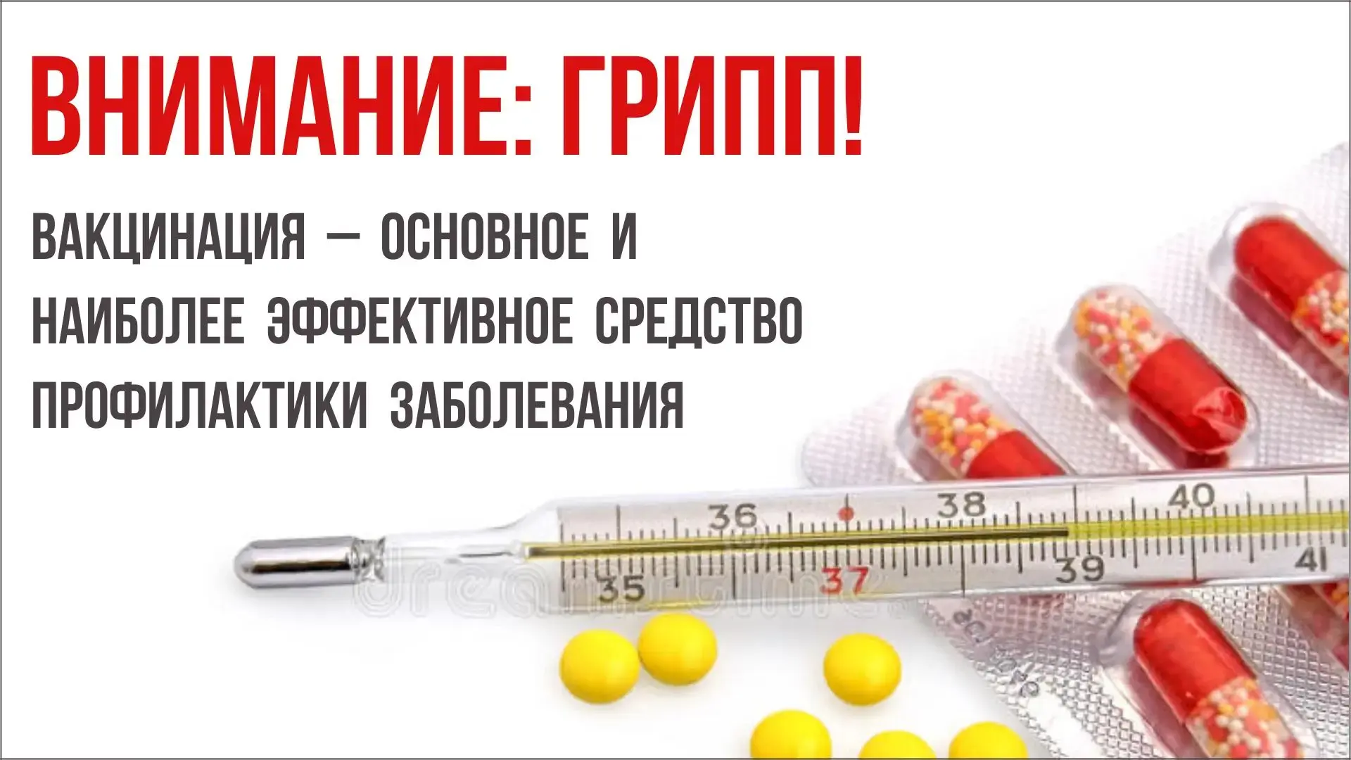 Профилактика ОРВИ и гриппа