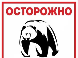Медведя по праву называют хозяином леса.