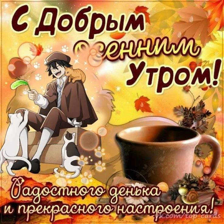О литераторах 🖤