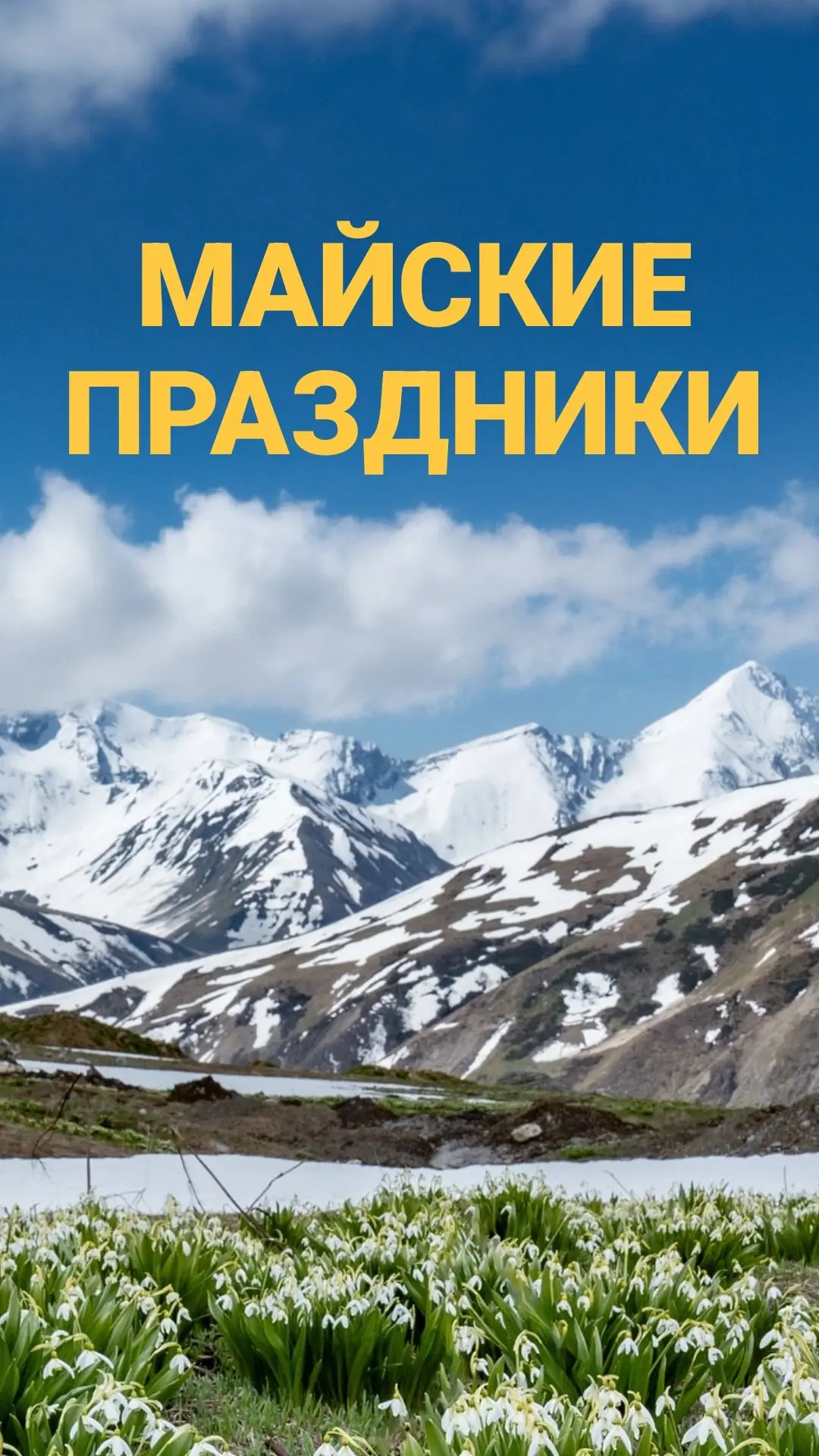 Майские праздники в разгаре, успеваете ли вы ими насладиться?

Мы всегда находимся на страже ваших п