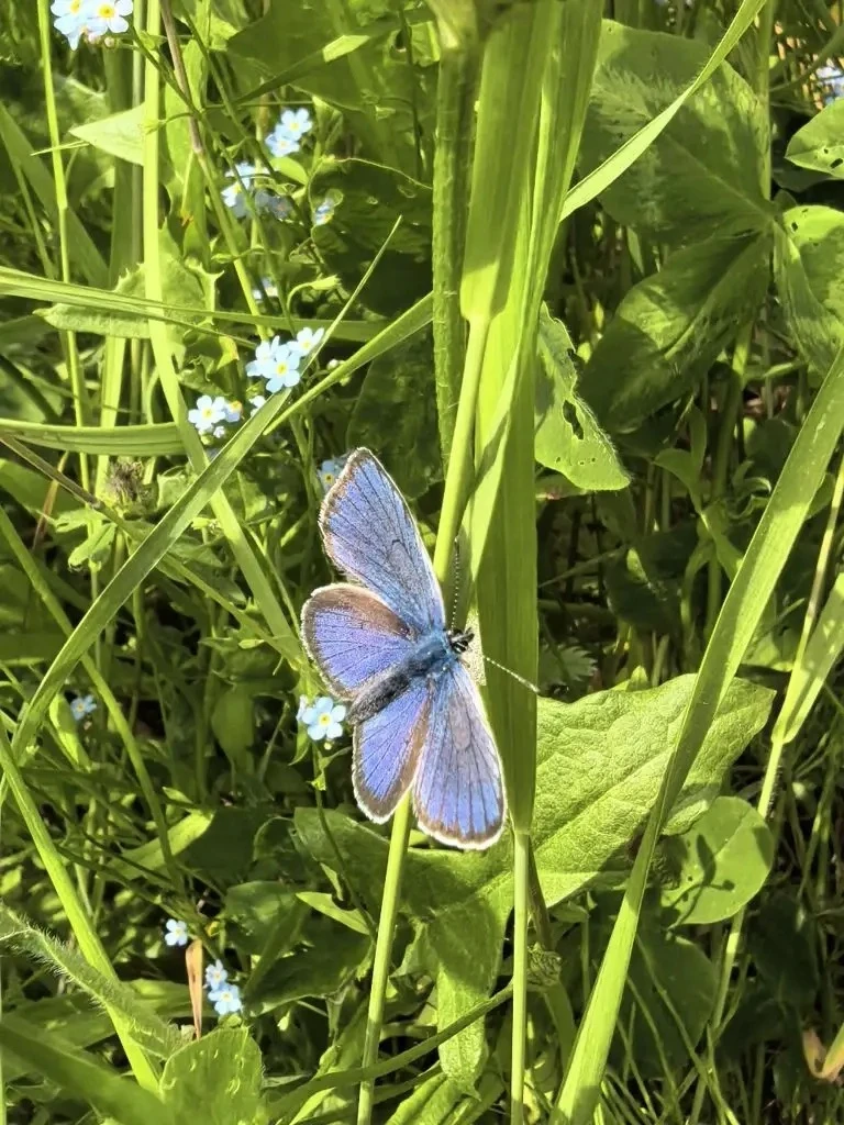 🦋 Ярко, тепло и красиво завершаем рабочую неделю