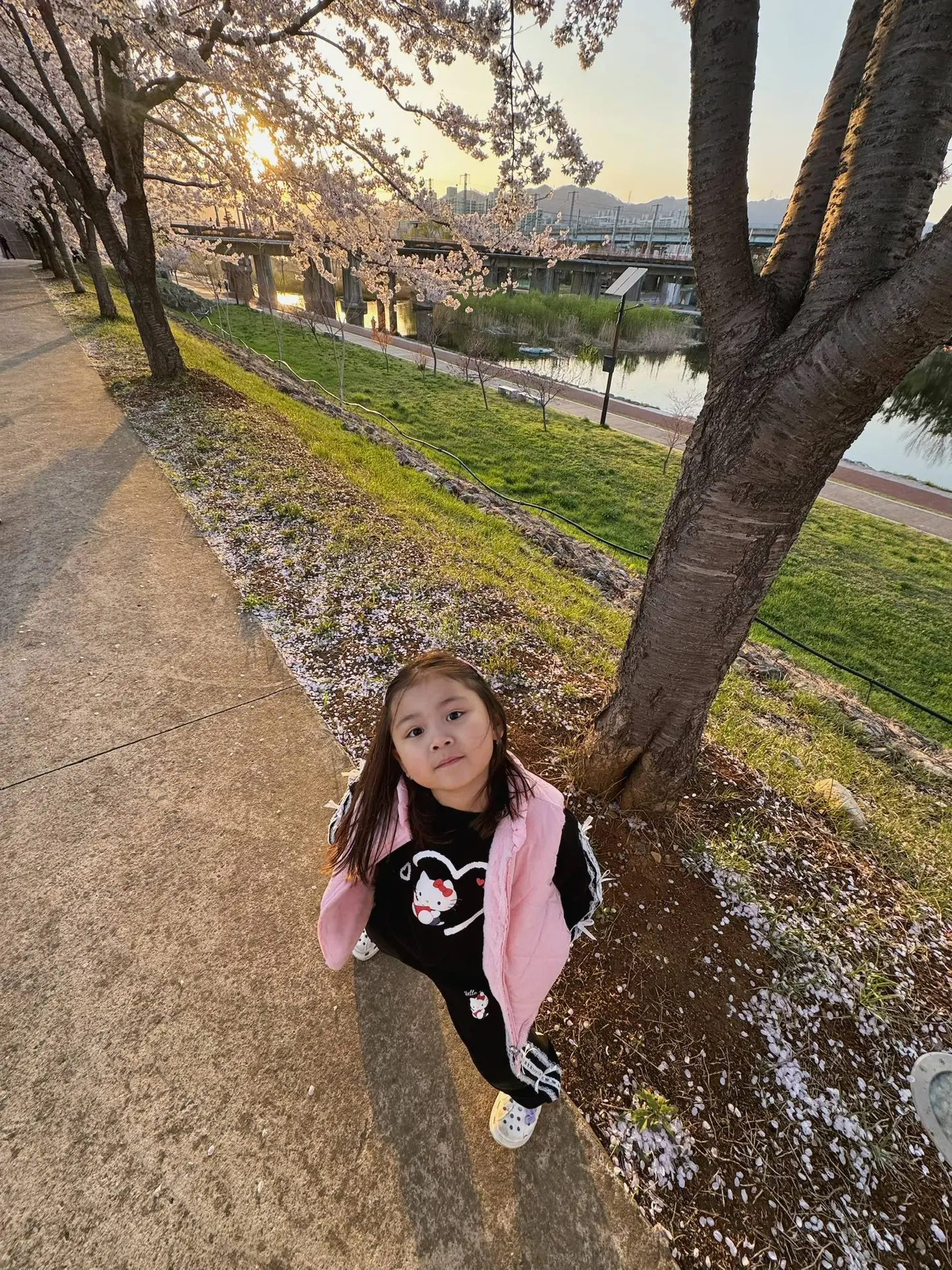 Очень красивое время сейчас в Корее 🌸 хочется гулять и гулять 🥰 советую если собираетесь посетить эт