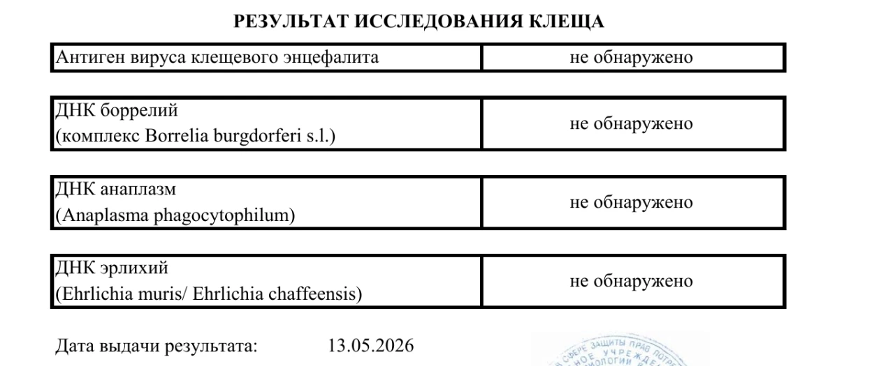Спасибо всем, кто переживал 😙  Снятого клеща сдали на анализ, на энцефалит результат был готов всего