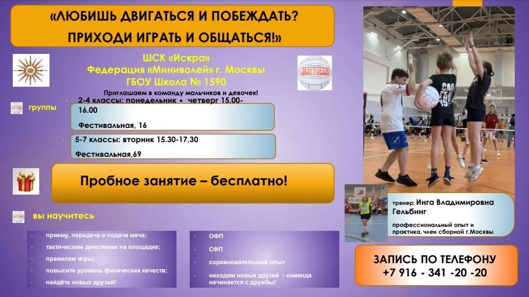Миниволей