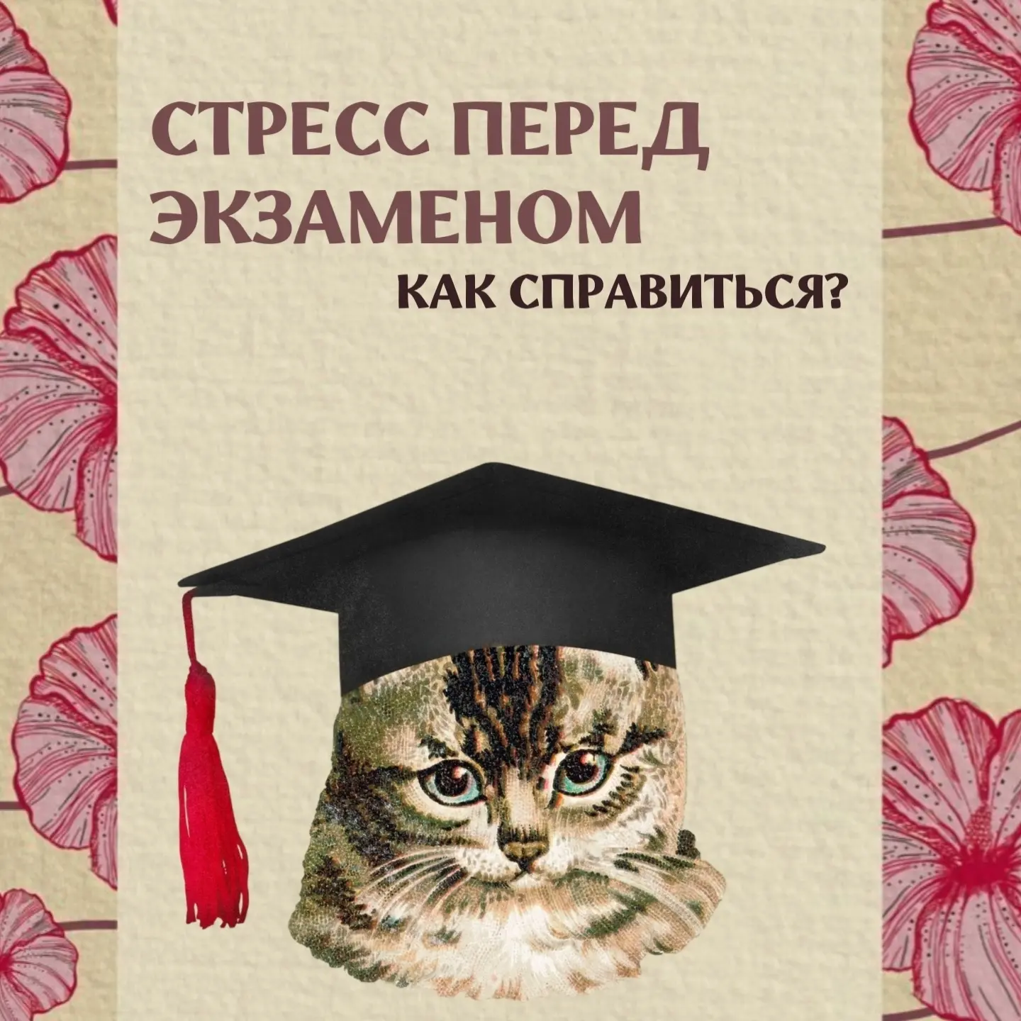 Экзамены без паники 😌

Стресс перед важным испытанием не должен мешать вам показать свои знания. Ум