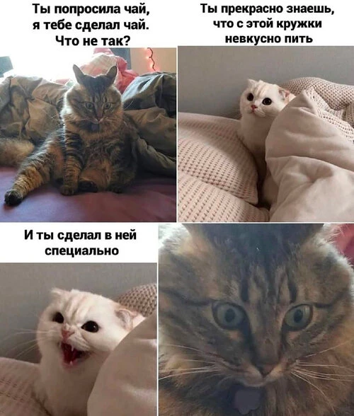 Приколы