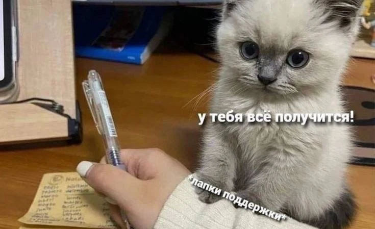 🍁Экзема — что это и почему возникает? ~ хроническое воспалительное заболевание кожи, при котором поя