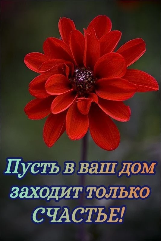 ♥️♥️♥️