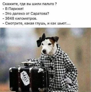 Доброе утро, девочки!

🤣🤣 Именно!

С заботой, Модный Шкаф🍒подписаться
https://max.ru/krasotaium