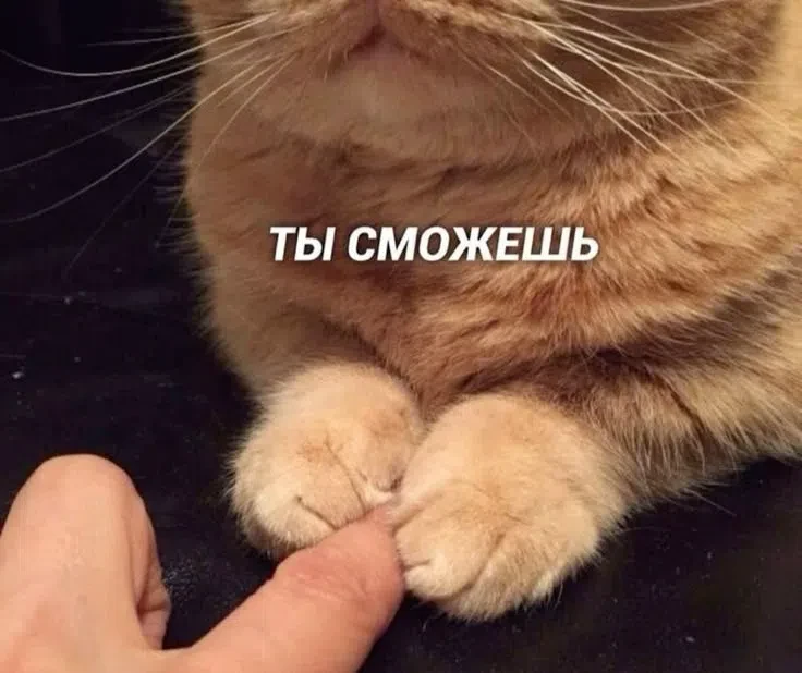 Дорогие наши одиннадцатиклассники, завтра вы идёте писать ЕГЭ по русскому 🙂