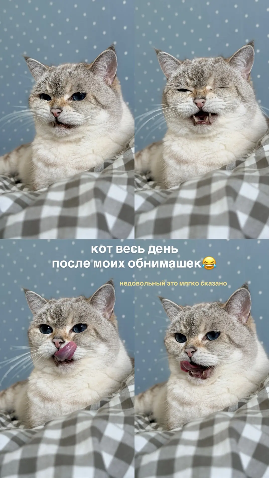 Ну вот и летооо☀️