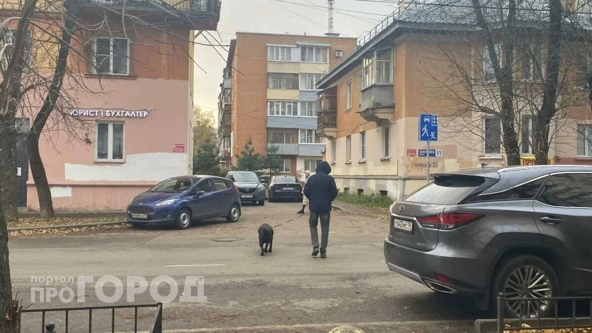 Производитель вакцины "Мультикан-8" готов индивидуально поддержать хозяев собак, умерши...