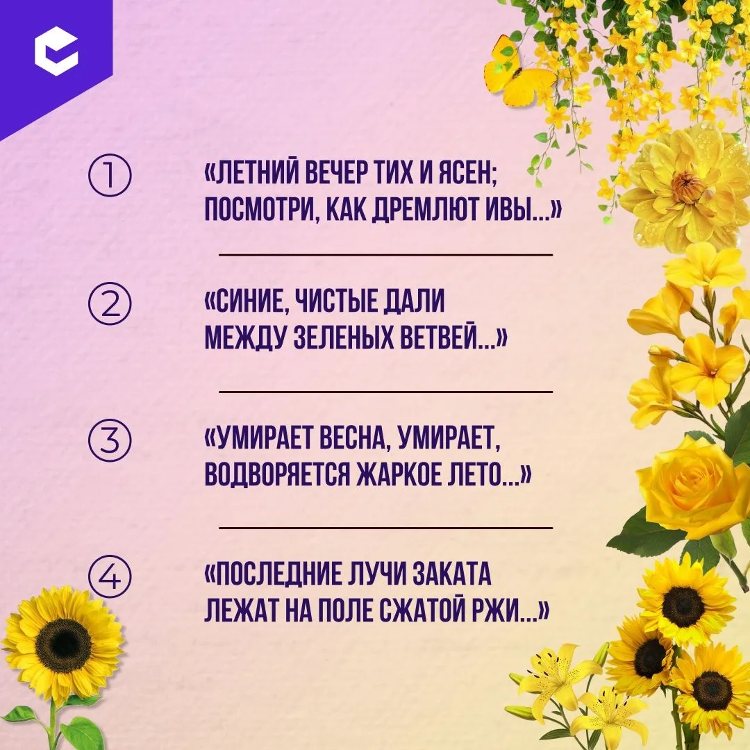 Половина лета пролетела. А давайте вспомним стихи о лете.
⁣
 В карточке — строки известных летних ст