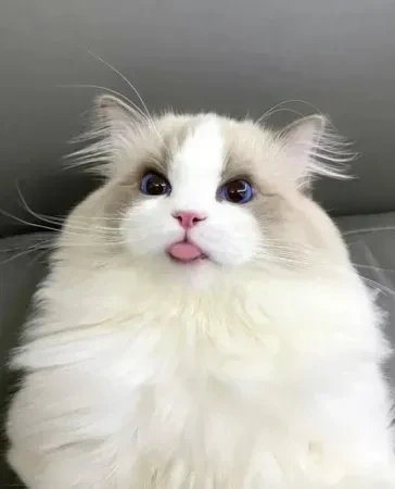 Когда ты редкостный красавец)