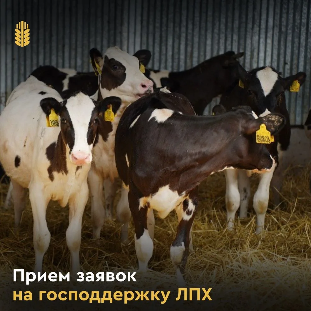 С 18 по 29 мая 2026 года открыт приём заявок на возмещение части затрат для граждан, ве...