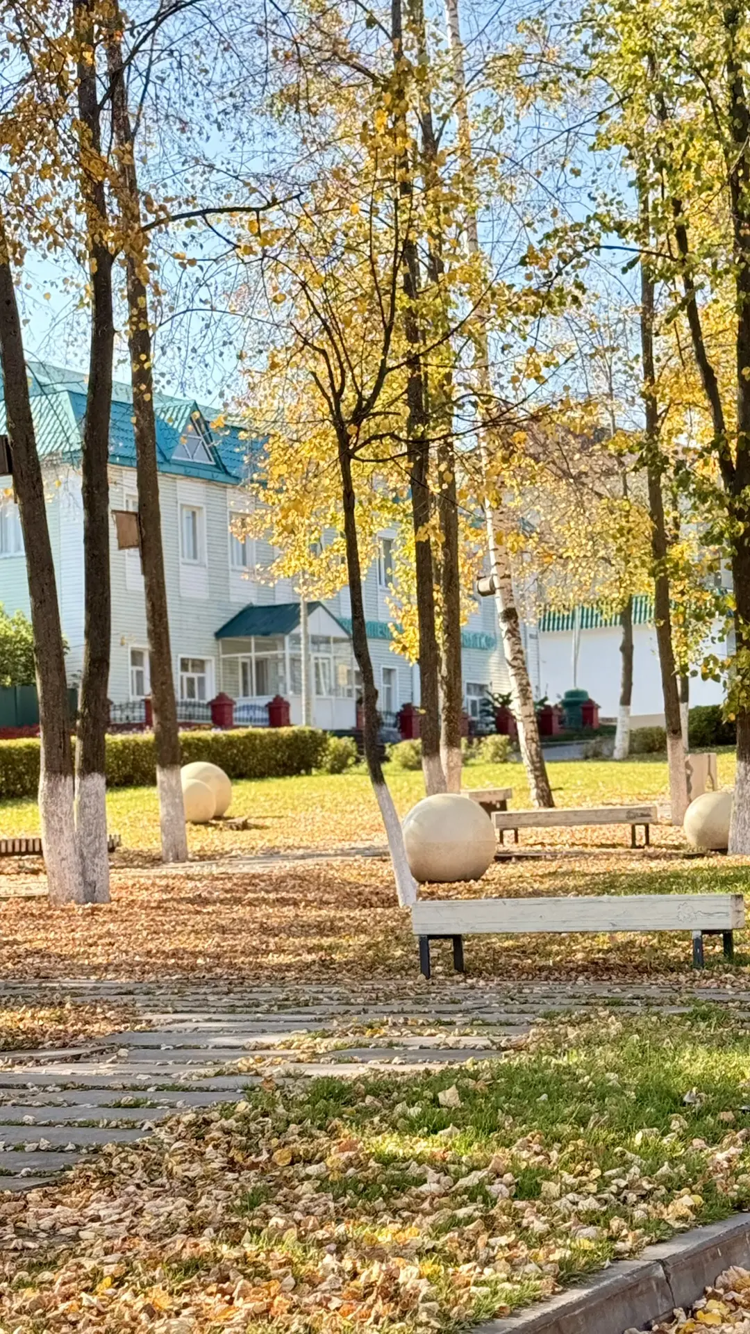 Доброе осеннее утро! 🍂 Понедельник встречает прохладой и свежестью, но солнце уже проб...