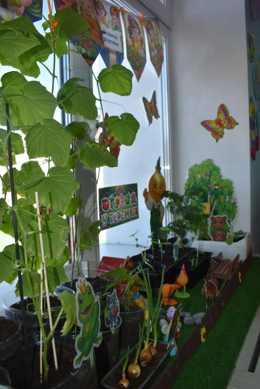 🥬Чудо на подоконнике: итоги конкурса «Огород на окне»
В нашем детском саду прошёл настоящий праздни